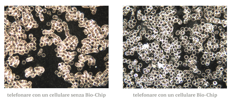 biochip2.jpg